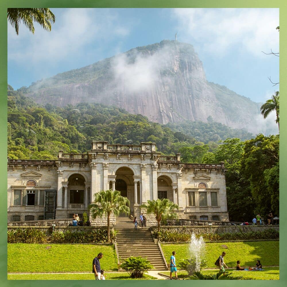 5 raisons de visiter le jardin botanique de Rio de Janeiro