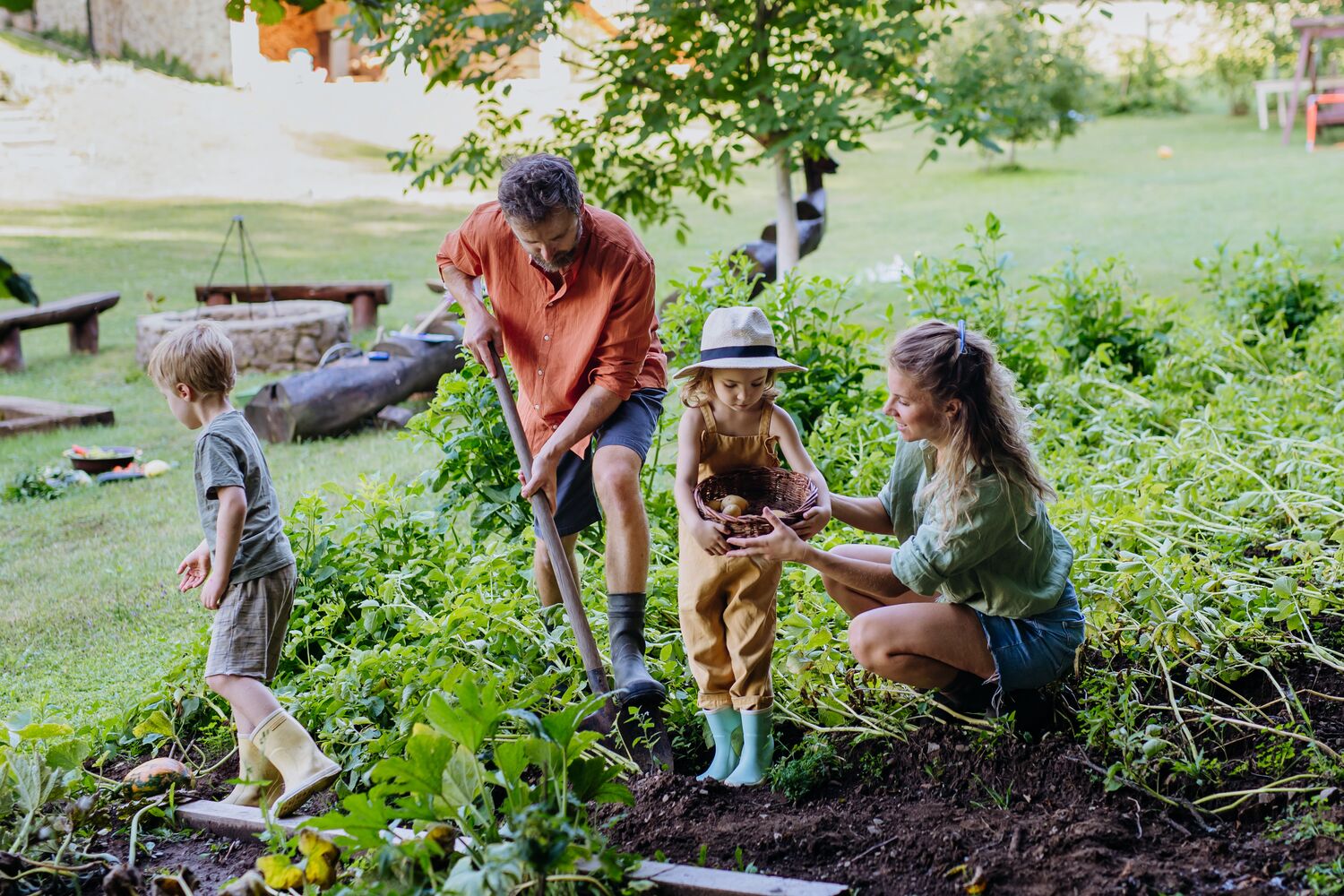 jardinage