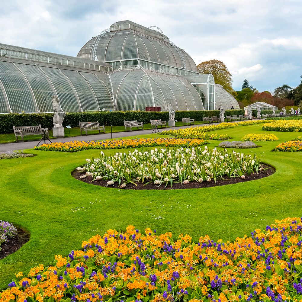 Photo de la serre du jardin des royaux de Kew
