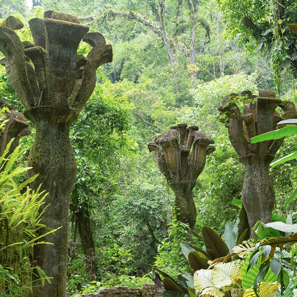 Jardin Las Posaz Sculptures Pierres Jungle