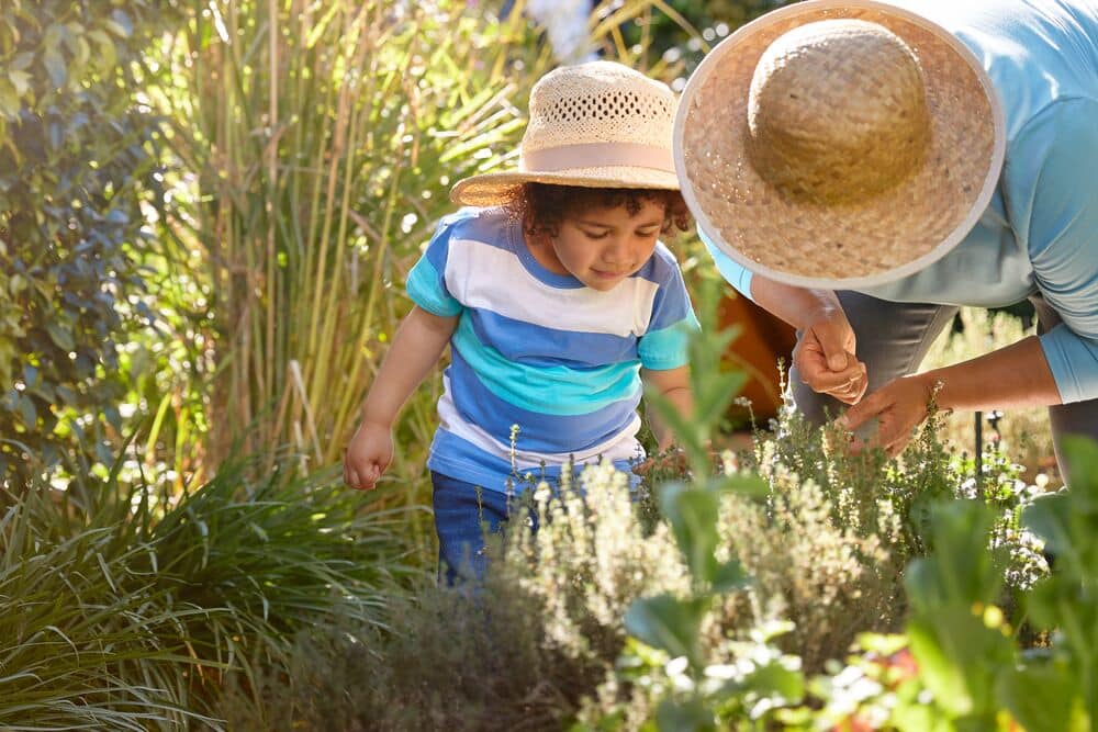 définition biodiversité