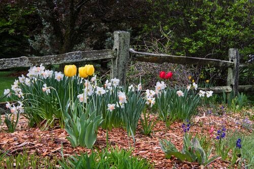 arrosage garden