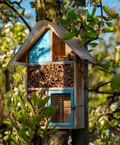 def biodiversité