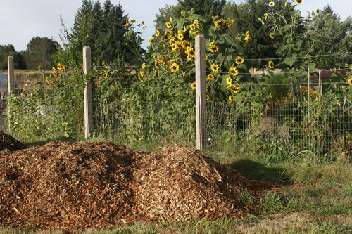 bac à compost