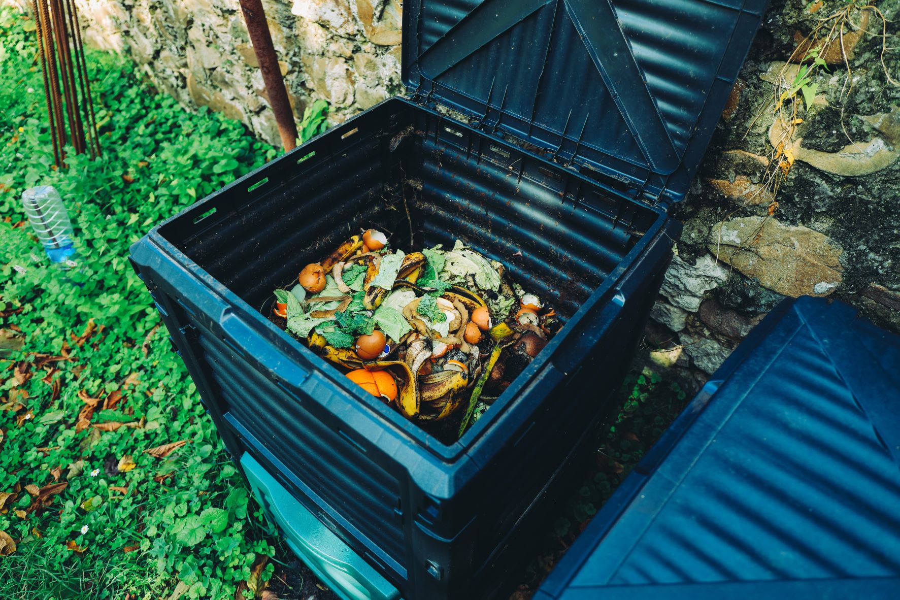 compost