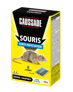 Souris – Céréales Forte infestation