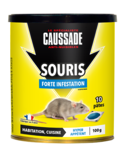 Souris &#8211; Forte Infestation