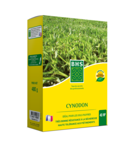 CYNODON COUVRE SOL