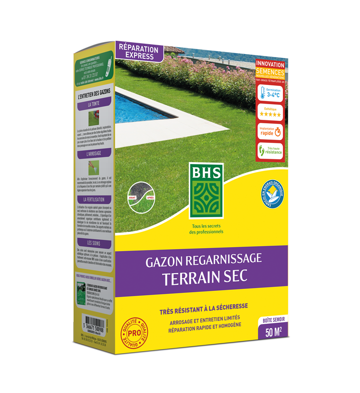 GAZON REGARNISSAGE TERRAIN SEC