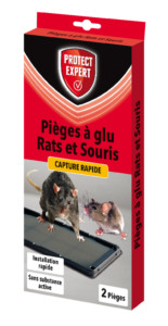 Rat &#038; Souris &#8211; 2 Pièges à Glu