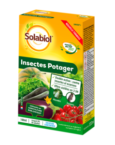 Insectes Potager