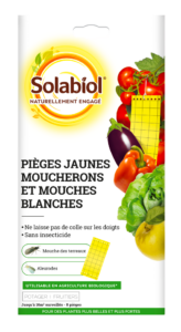 Pièges  Jaunes &#8211; Moucherons et Mouches Blanches
