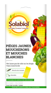 PIÈGES  JAUNES &#8211; MOUCHERONS ET MOUCHES BLANCHES