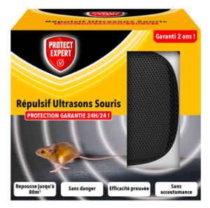 Souris &#8211; Ultrason