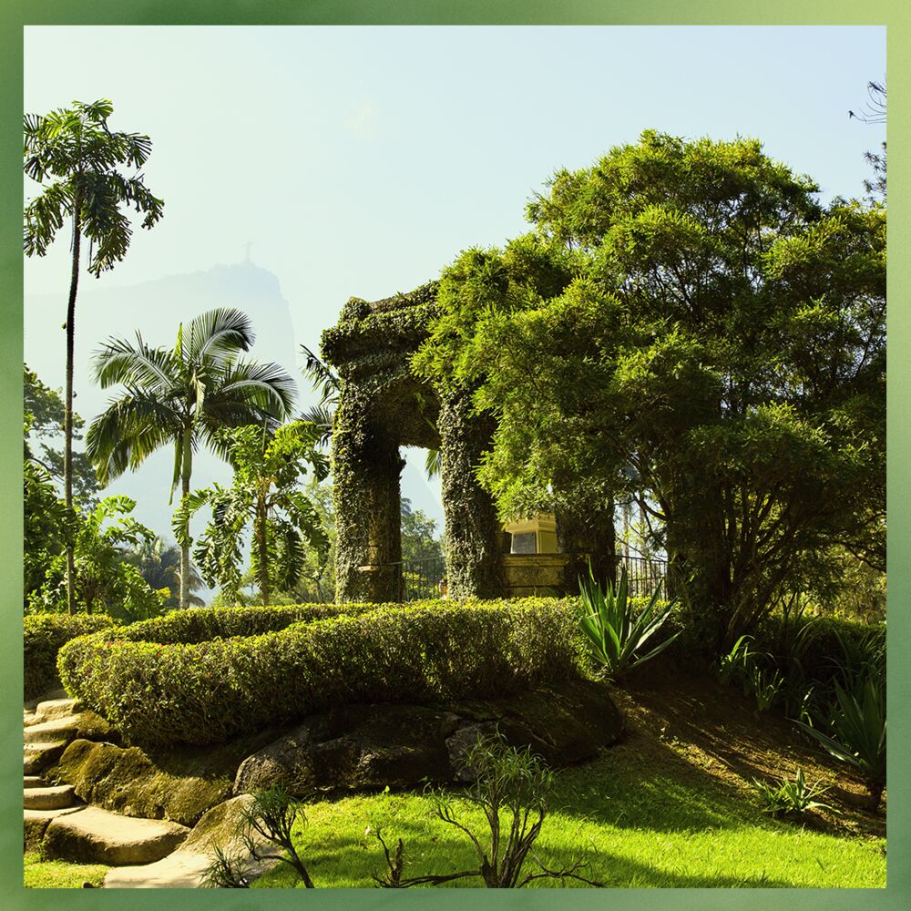 Medium-botanical-garden-of-Rio-de-Janeiro-3