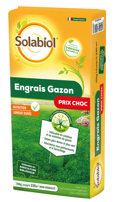 Engrais Gazon longue durée -  
