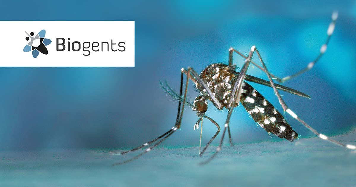 Biogents piège à moustiques