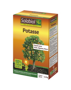 Potasse