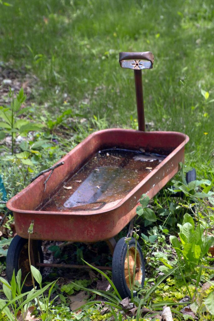 Eau stagnante jardin moustiques