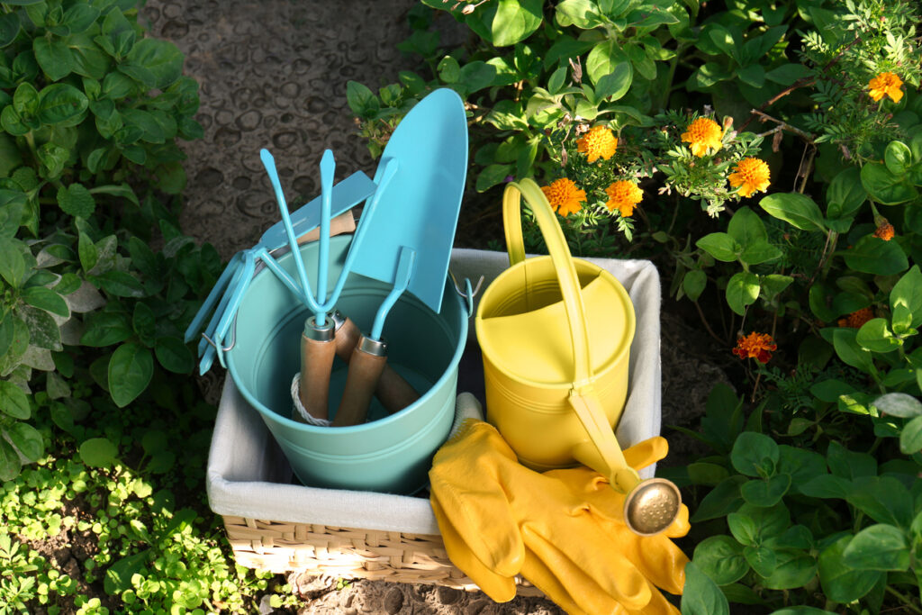 agenda du jardinier mai