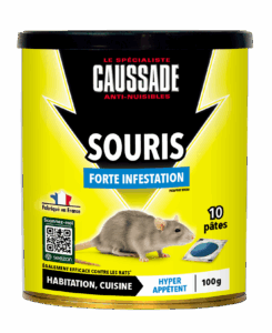 Souris – Forte Infestation