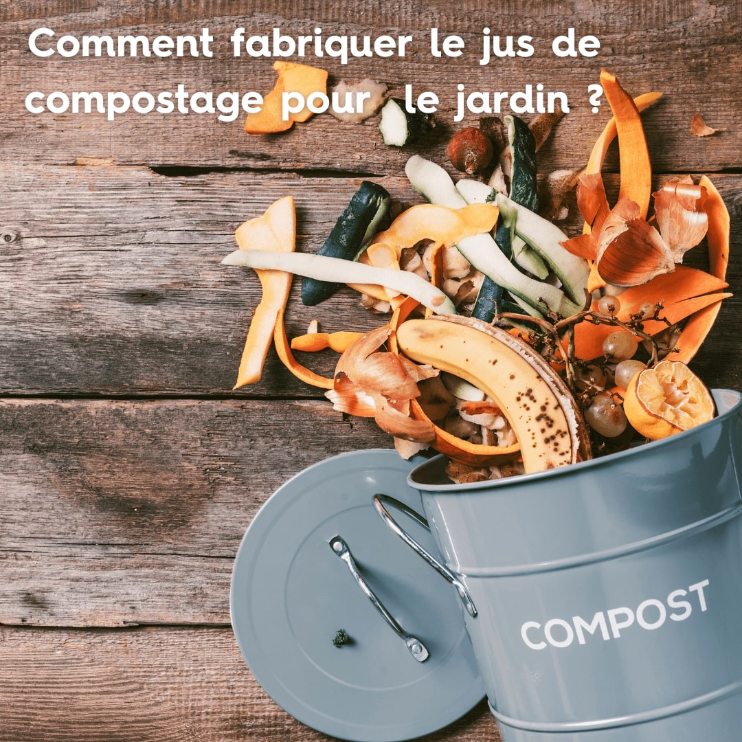 compost chez soi
