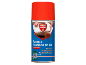 Aerosol punaise de lit et puce