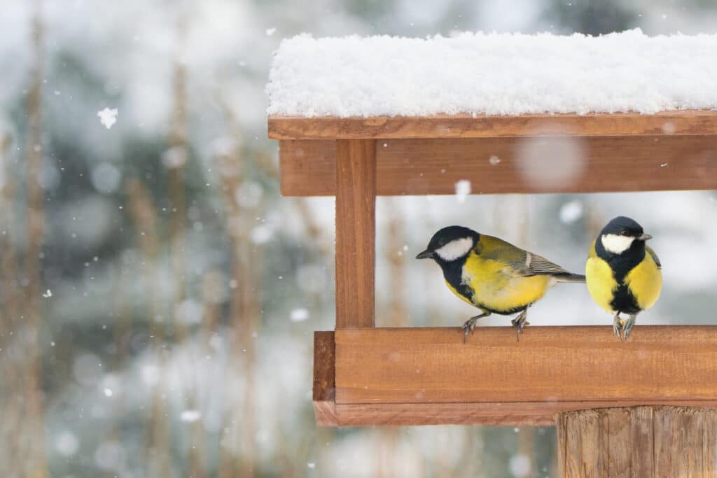 agenda calendrier du jardinier janvier hiver