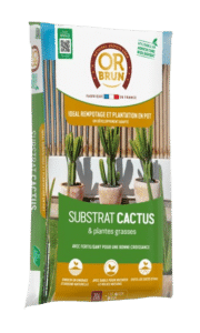 Substrat Cactus et Plantes Grasses