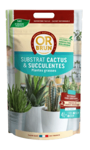 Substrat Cactus et Plantes Grasses