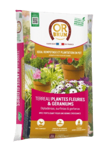 Or Brun - Terreau Plantes Fleuries et Géraniums