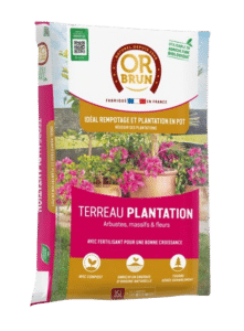 Terreau Plantation