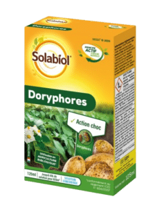 Doryphores
