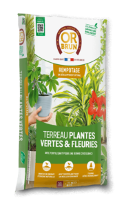 Terreau Plantes Vertes et Fleuries