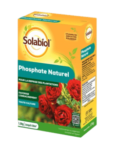 Phosphate Naturel