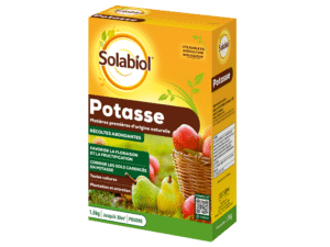 Potasse