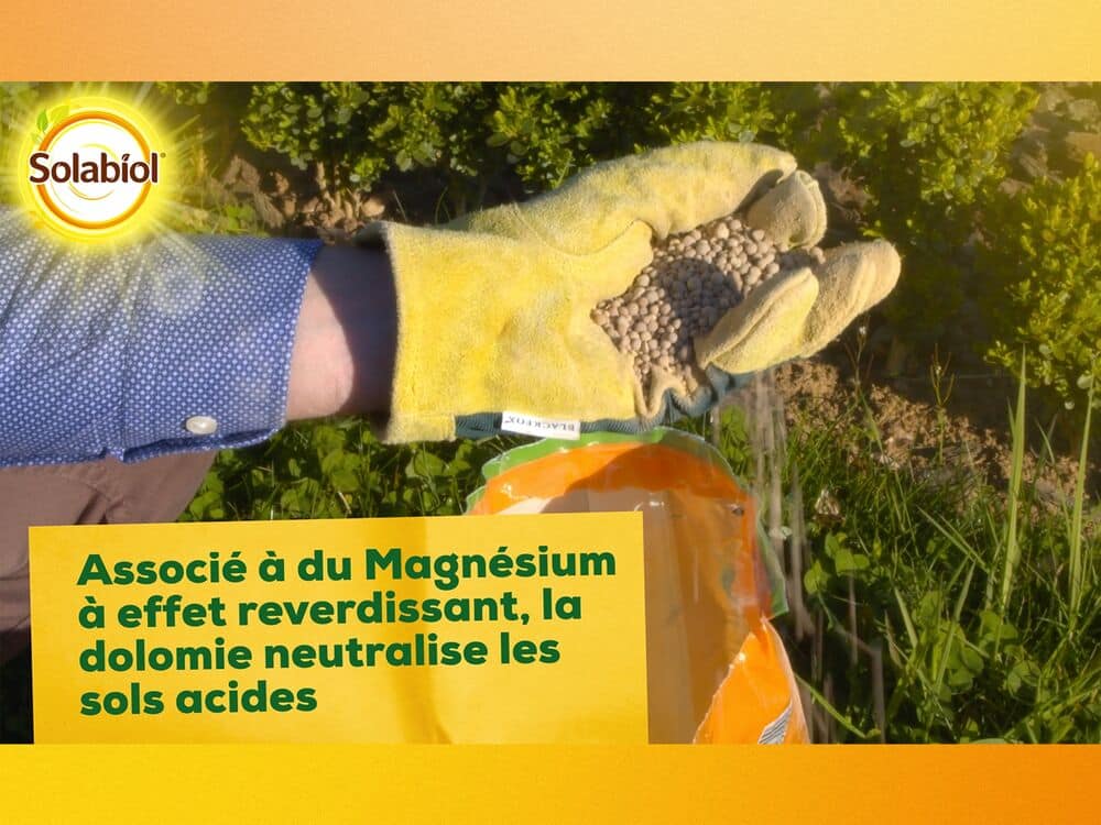 Carbonate de chaux et de magnésium