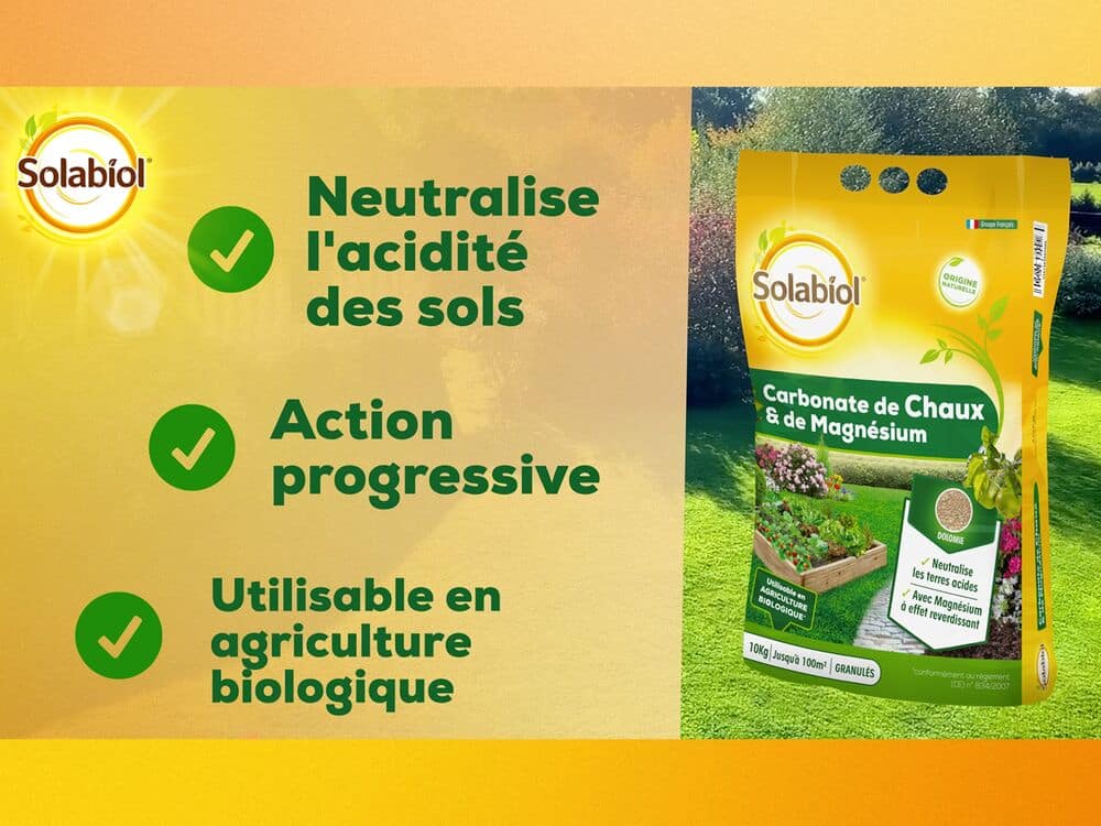 Carbonate de chaux et de magnésium