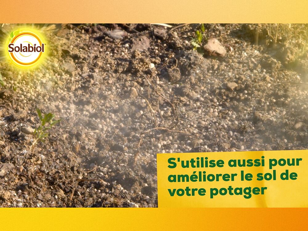 Carbonate de chaux et de magnésium