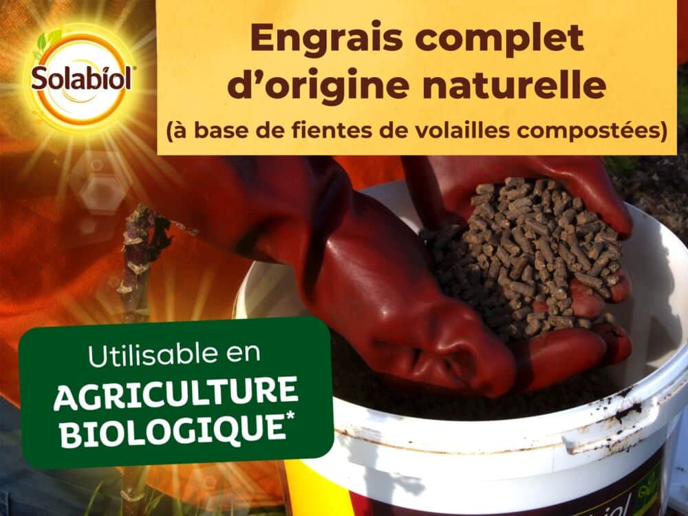 SOCOMP5 engrais complet solabiol