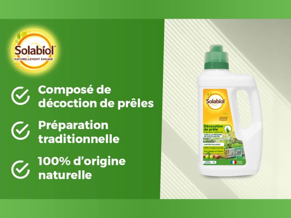 Décoction de prêles Solabiol