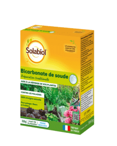 Bicarbonate de soude - défense contre les maladies des plantes