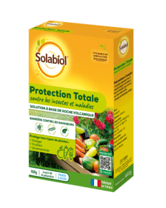 Chabasite – Bouclier Protecteur