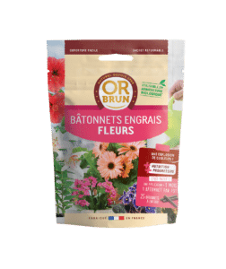 Bâtonnets Fleurs