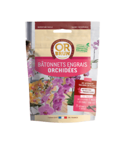 Bâtonnets Orchidées