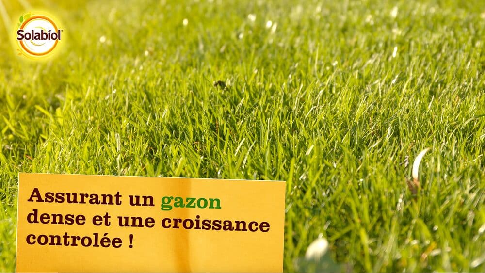engrais gazon solabiol