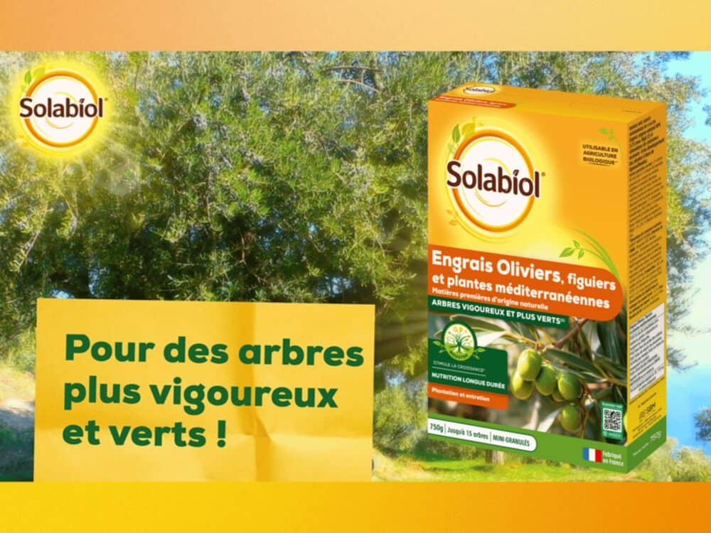 engrais olivier solabiol