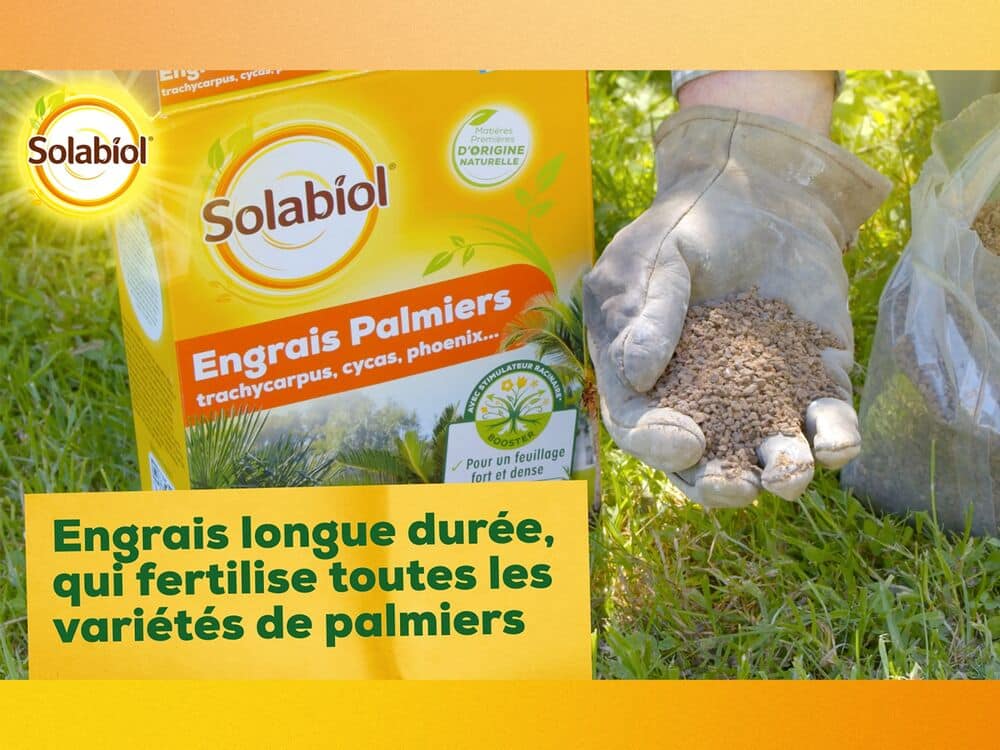 engrais palmier Solabiol