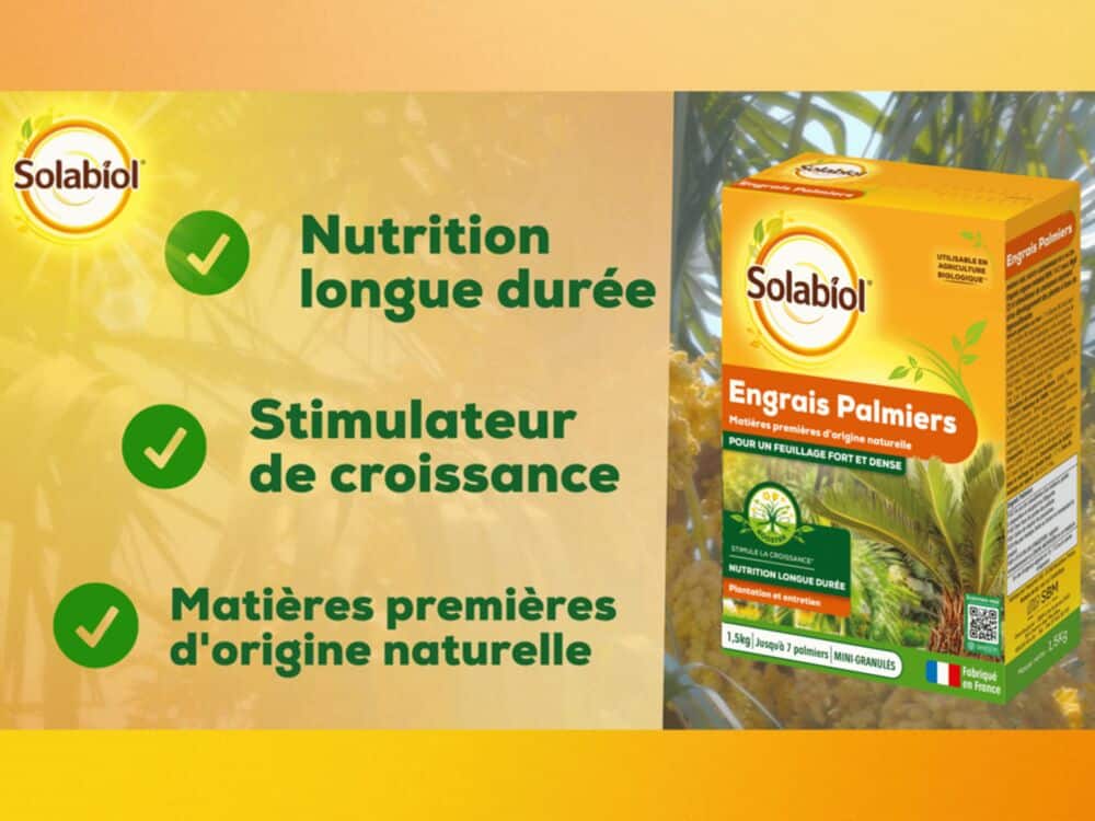 engrais palmier Solabiol