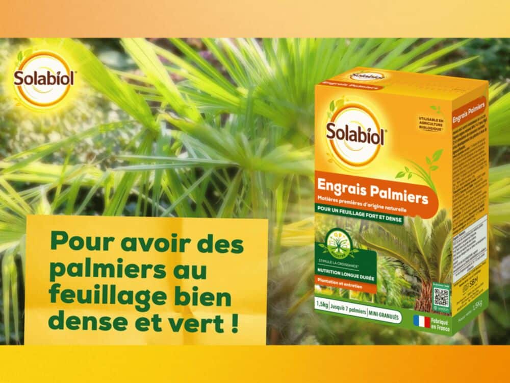 engrais palmier Solabiol